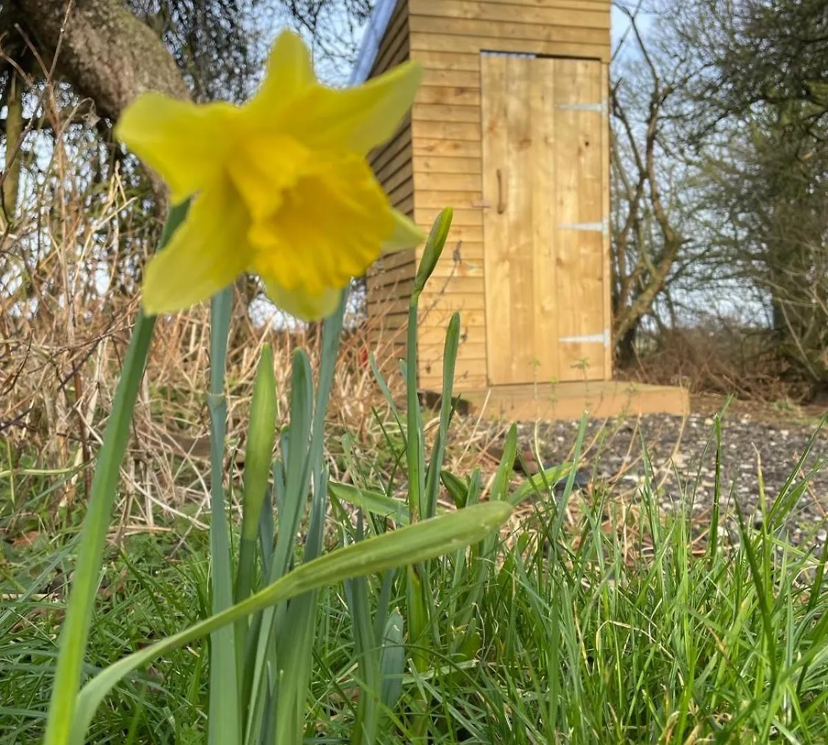 The Deer Hut At Carr House Farm Hotel Scarborough 0*,  Egyesült Királyság